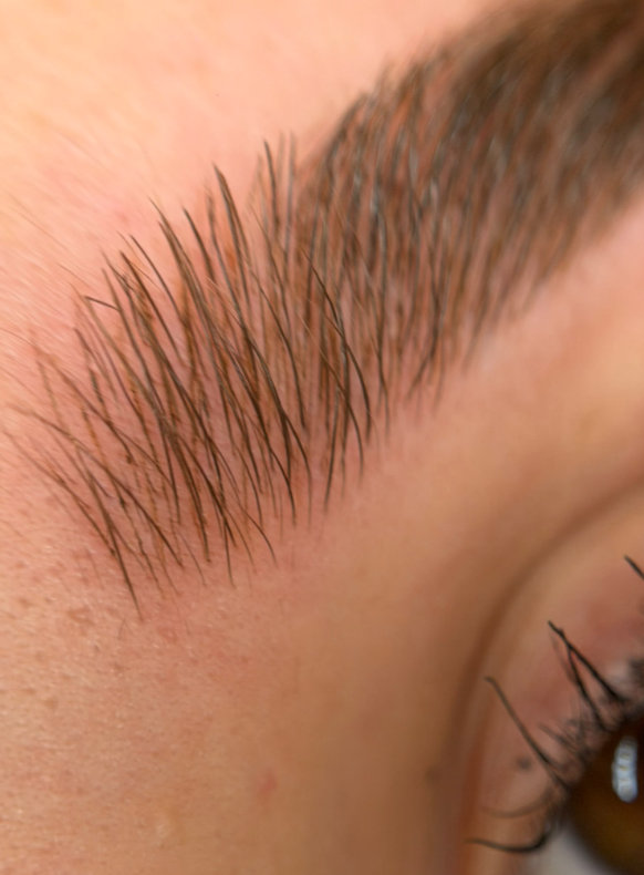 Detalle de cejas con diseño pelo a pelo